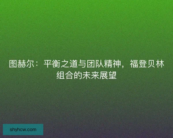 图赫尔：平衡之道与团队精神，福登贝林组合的未来展望